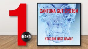 Yoko: The Best Beatle is named best album of 2020 by music magazine Mono